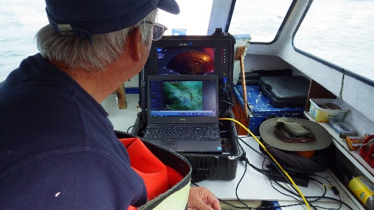 Piloting the ROV